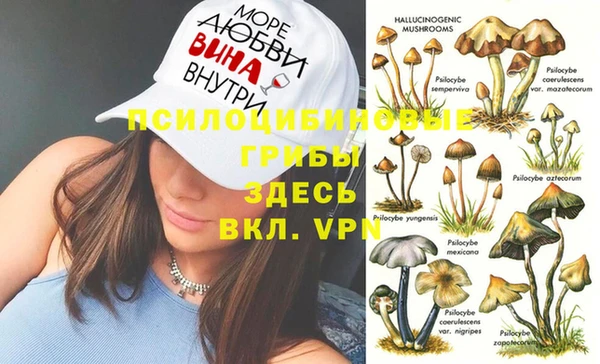 ALPHA-PVP Магас