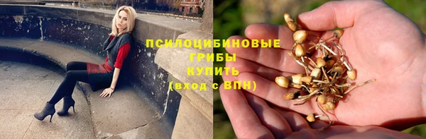 ALPHA-PVP Магас